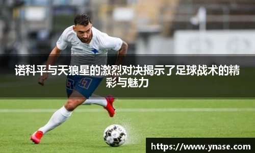 诺科平与天狼星的激烈对决揭示了足球战术的精彩与魅力